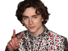 timothe-chalamet-acteur-americain-francais-cinema-homme-vingtenaire-vingtaine-cheveux-bruns-cheveux-boucles-yeux-verts-2019