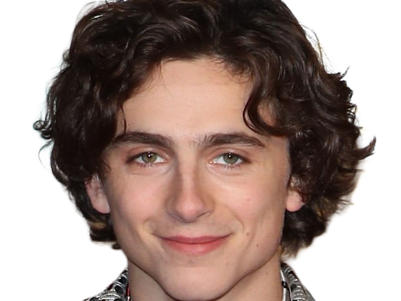 timothe chalamet acteur americain francais cinema homme vingtenaire vingtaine cheveux-bruns cheveux-boucles yeux-verts 2019