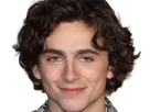 timothe-chalamet-acteur-americain-francais-cinema-homme-vingtenaire-vingtaine-cheveux-bruns-cheveux-boucles-yeux-verts-2019