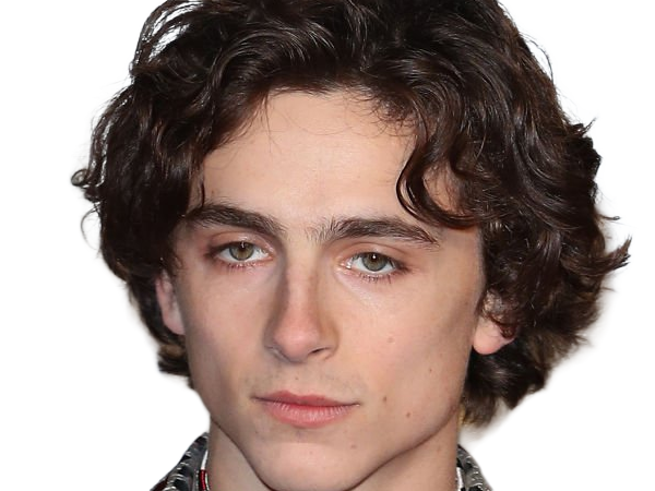 timothe chalamet acteur americain francais cinema homme vingtenaire vingtaine cheveux-bruns cheveux-boucles yeux-verts 2019