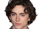 timothe-chalamet-acteur-americain-francais-cinema-homme-vingtenaire-vingtaine-cheveux-bruns-cheveux-boucles-yeux-verts-2019