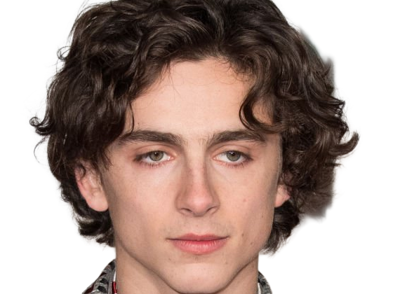 timothe chalamet acteur americain francais cinema homme vingtenaire vingtaine cheveux-bruns cheveux-boucles yeux-verts 2019