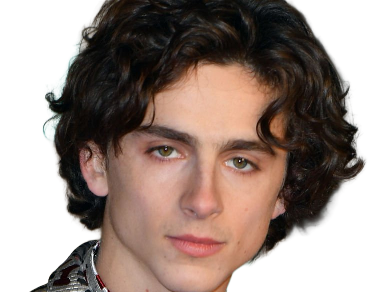 timothe chalamet acteur americain francais cinema homme vingtenaire vingtaine cheveux-bruns cheveux-boucles yeux-verts 2019