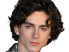 timothe-chalamet-acteur-americain-francais-cinema-homme-vingtenaire-vingtaine-cheveux-bruns-cheveux-boucles-yeux-verts-2019