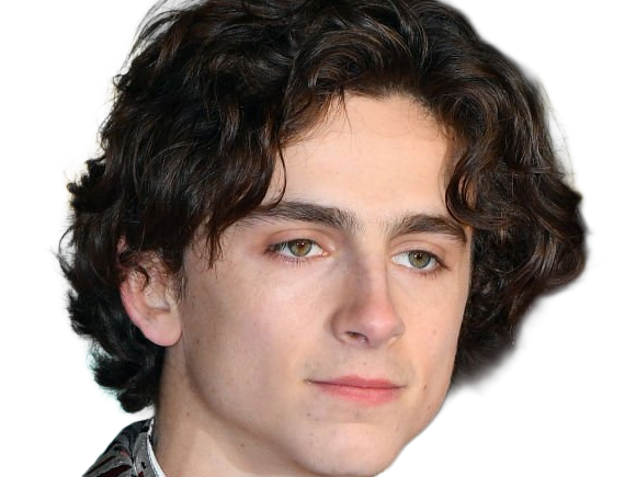 timothe chalamet acteur americain francais cinema homme vingtenaire vingtaine cheveux-bruns cheveux-boucles yeux-verts 2019