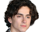 timothe-chalamet-acteur-americain-francais-cinema-homme-vingtenaire-vingtaine-cheveux-bruns-cheveux-boucles-yeux-verts-2019