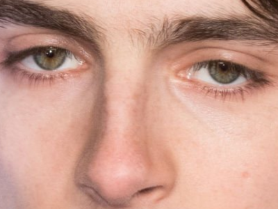 timothe chalamet acteur americain francais cinema homme vingtenaire vingtaine cheveux-bruns cheveux-boucles yeux-verts 2019