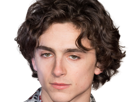 timothe-chalamet-acteur-americain-francais-cinema-homme-vingtenaire-vingtaine-cheveux-bruns-cheveux-boucles-yeux-verts-2019