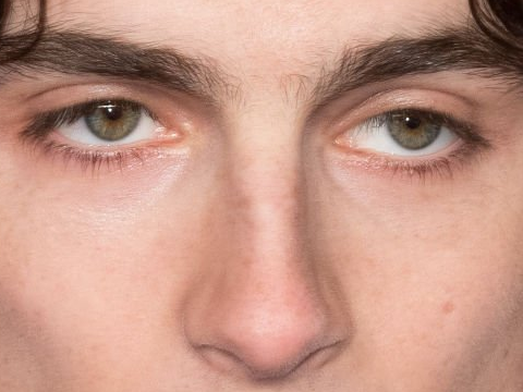 timothe chalamet acteur americain francais cinema homme vingtenaire vingtaine cheveux-bruns cheveux-boucles yeux-verts 2019