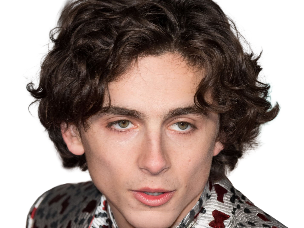 timothe chalamet acteur americain francais cinema homme vingtenaire vingtaine cheveux-bruns cheveux-boucles yeux-verts 2019
