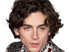 timothe-chalamet-acteur-americain-francais-cinema-homme-vingtenaire-vingtaine-cheveux-bruns-cheveux-boucles-yeux-verts-2019