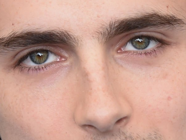 timothe chalamet acteur americain francais cinema homme vingtenaire vingtaine cheveux-bruns cheveux-boucles yeux-verts 2019