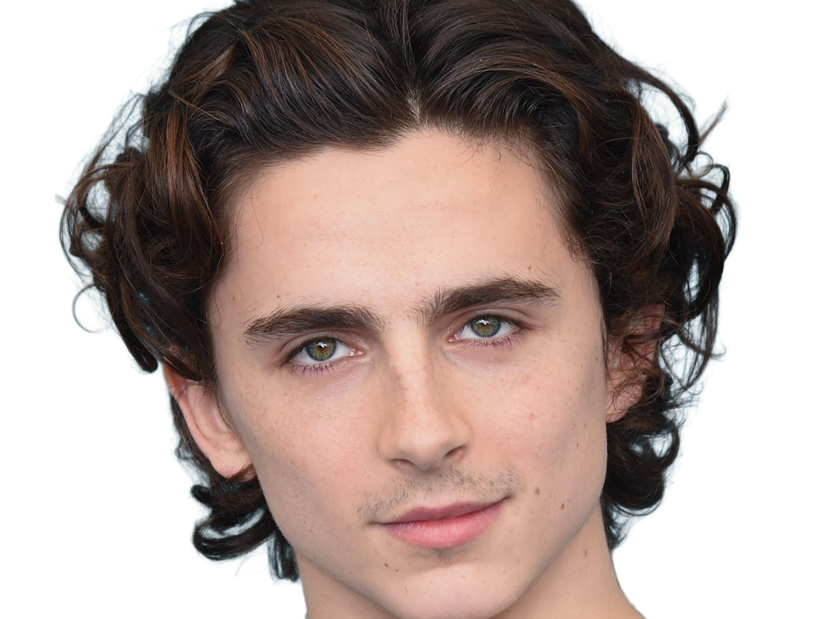 timothe chalamet acteur americain francais cinema homme vingtenaire vingtaine cheveux-bruns cheveux-boucles yeux-verts 2019