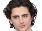 timothe-chalamet-acteur-americain-francais-cinema-homme-vingtenaire-vingtaine-cheveux-bruns-cheveux-boucles-yeux-verts-2019