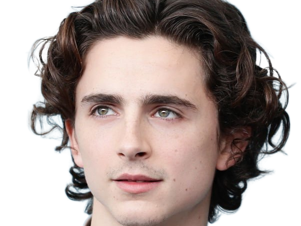 timothe chalamet acteur americain francais cinema homme vingtenaire vingtaine cheveux-bruns cheveux-boucles yeux-verts 2019