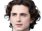 timothe-chalamet-acteur-americain-francais-cinema-homme-vingtenaire-vingtaine-cheveux-bruns-cheveux-boucles-yeux-verts-2019
