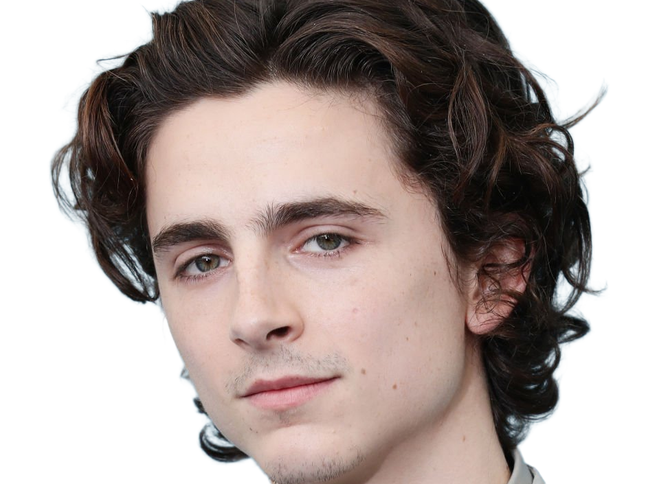 timothe chalamet acteur americain francais cinema homme vingtenaire vingtaine cheveux-bruns cheveux-boucles yeux-verts 2019
