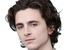 timothe-chalamet-acteur-americain-francais-cinema-homme-vingtenaire-vingtaine-cheveux-bruns-cheveux-boucles-yeux-verts-2019