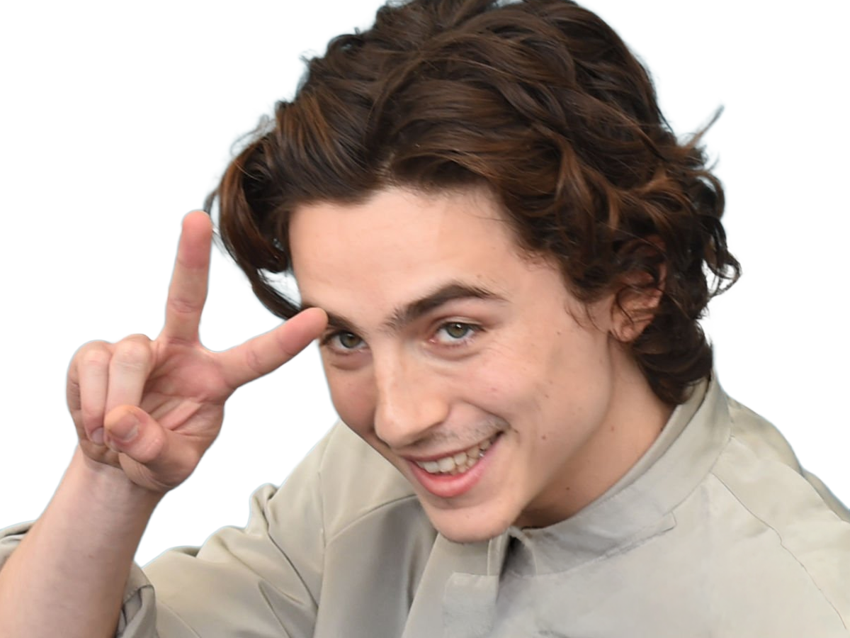 timothe chalamet acteur americain francais cinema homme vingtenaire vingtaine cheveux-bruns cheveux-boucles yeux-verts 2019