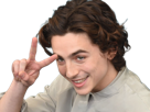 timothe-chalamet-acteur-americain-francais-cinema-homme-vingtenaire-vingtaine-cheveux-bruns-cheveux-boucles-yeux-verts-2019
