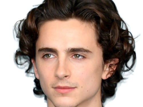 timothe chalamet acteur americain francais cinema homme vingtenaire vingtaine cheveux-bruns cheveux-boucles yeux-verts 2019