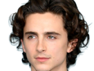 timothe-chalamet-acteur-americain-francais-cinema-homme-vingtenaire-vingtaine-cheveux-bruns-cheveux-boucles-yeux-verts-2019