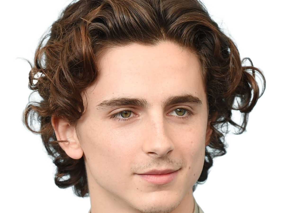 timothe chalamet acteur americain francais cinema homme vingtenaire vingtaine cheveux-bruns cheveux-boucles yeux-verts 2019