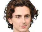 timothe-chalamet-acteur-americain-francais-cinema-homme-vingtenaire-vingtaine-cheveux-bruns-cheveux-boucles-yeux-verts-2019