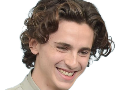 timothe chalamet acteur americain francais cinema homme vingtenaire vingtaine cheveux-bruns cheveux-boucles yeux-verts 2019