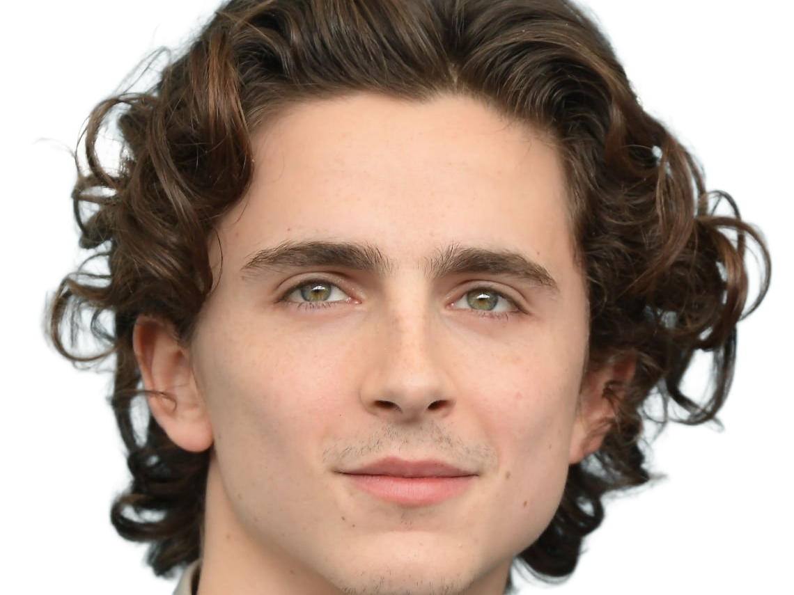 timothe chalamet acteur americain francais cinema homme vingtenaire vingtaine cheveux-bruns cheveux-boucles yeux-verts 2019
