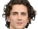timothe-chalamet-acteur-americain-francais-cinema-homme-vingtenaire-vingtaine-cheveux-bruns-cheveux-boucles-yeux-verts-2019