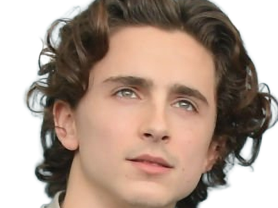 timothe chalamet acteur americain francais cinema homme vingtenaire vingtaine cheveux-bruns cheveux-boucles yeux-verts 2019