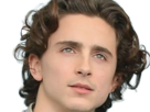 timothe-chalamet-acteur-americain-francais-cinema-homme-vingtenaire-vingtaine-cheveux-bruns-cheveux-boucles-yeux-verts-2019