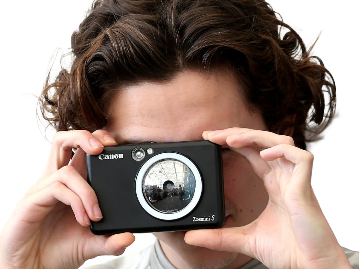 timothe chalamet acteur americain francais cinema homme vingtenaire vingtaine cheveux-bruns cheveux-boucles yeux-verts 2019