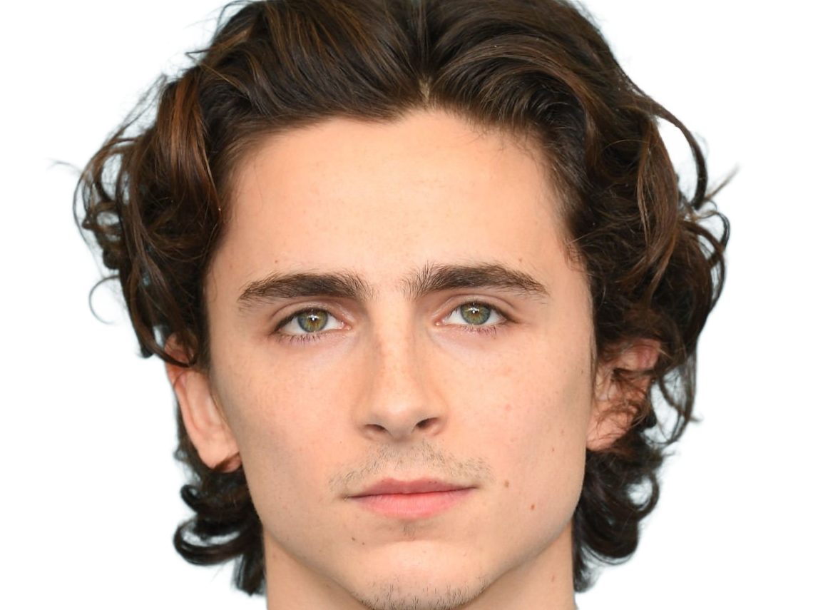 timothe chalamet acteur americain francais cinema homme vingtenaire vingtaine cheveux-bruns cheveux-boucles yeux-verts 2019