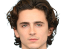 timothe-chalamet-acteur-americain-francais-cinema-homme-vingtenaire-vingtaine-cheveux-bruns-cheveux-boucles-yeux-verts-2019