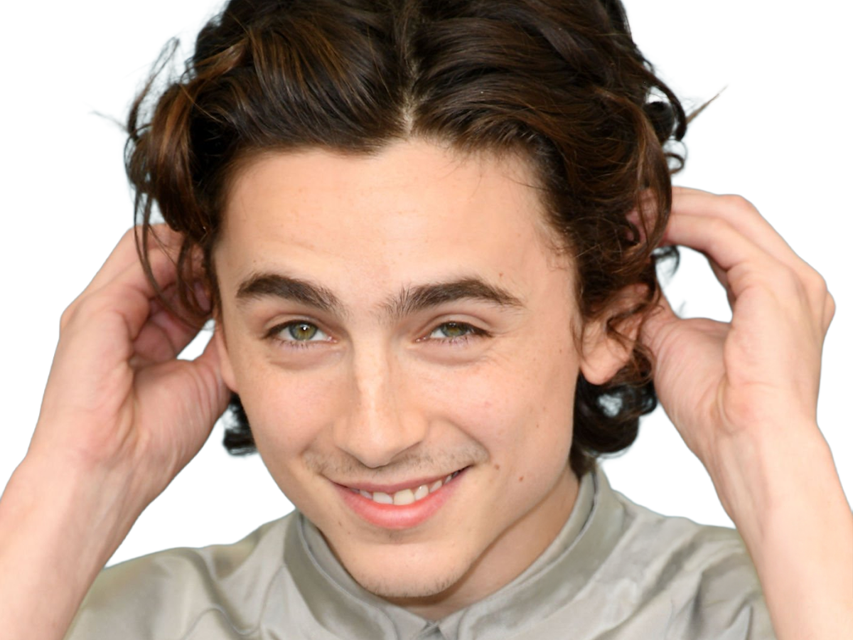 timothe chalamet acteur americain francais cinema homme vingtenaire vingtaine cheveux-bruns cheveux-boucles yeux-verts 2019