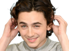 timothe-chalamet-acteur-americain-francais-cinema-homme-vingtenaire-vingtaine-cheveux-bruns-cheveux-boucles-yeux-verts-2019