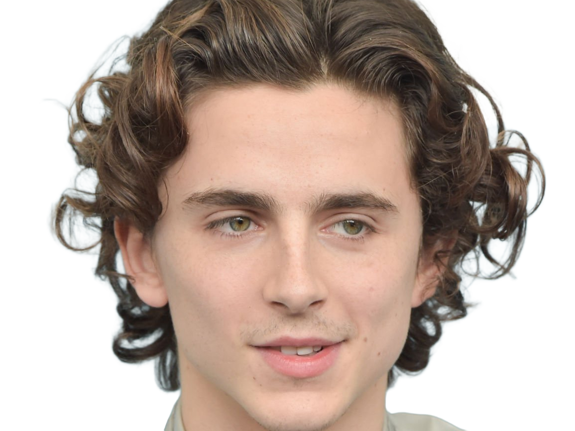 timothe chalamet acteur americain francais cinema homme vingtenaire vingtaine cheveux-bruns cheveux-boucles yeux-verts 2019