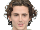 timothe-chalamet-acteur-americain-francais-cinema-homme-vingtenaire-vingtaine-cheveux-bruns-cheveux-boucles-yeux-verts-2019
