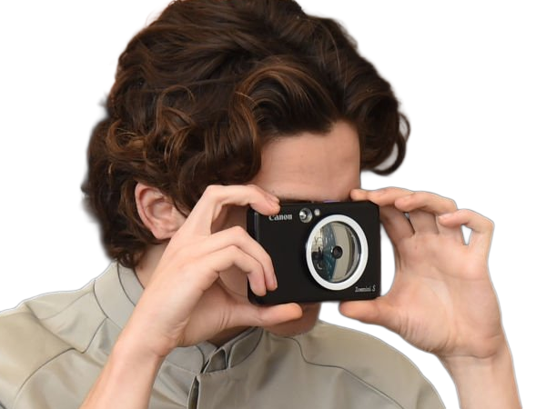 timothe chalamet acteur americain francais cinema homme vingtenaire vingtaine cheveux-bruns cheveux-boucles yeux-verts 2019