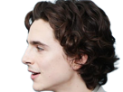 timothe-chalamet-acteur-americain-francais-cinema-homme-vingtenaire-vingtaine-cheveux-bruns-cheveux-boucles-yeux-verts-2019