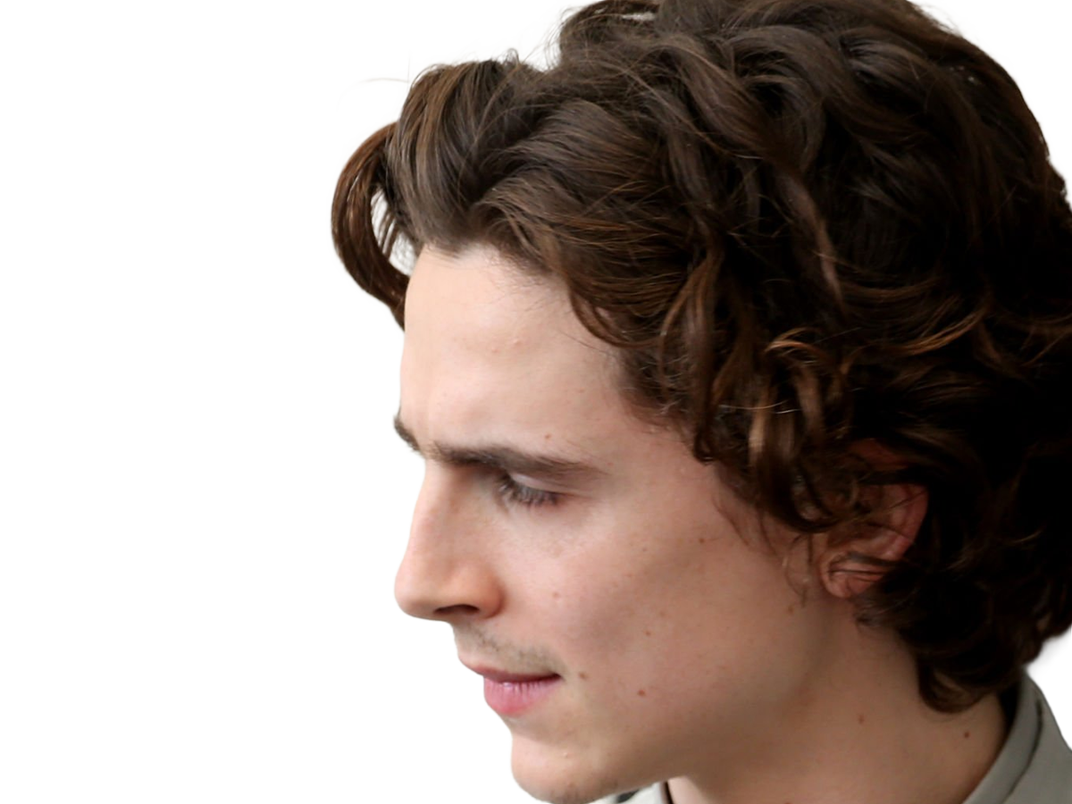 timothe chalamet acteur americain francais cinema homme vingtenaire vingtaine cheveux-bruns cheveux-boucles yeux-verts 2019