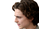 timothe-chalamet-acteur-americain-francais-cinema-homme-vingtenaire-vingtaine-cheveux-bruns-cheveux-boucles-yeux-verts-2019