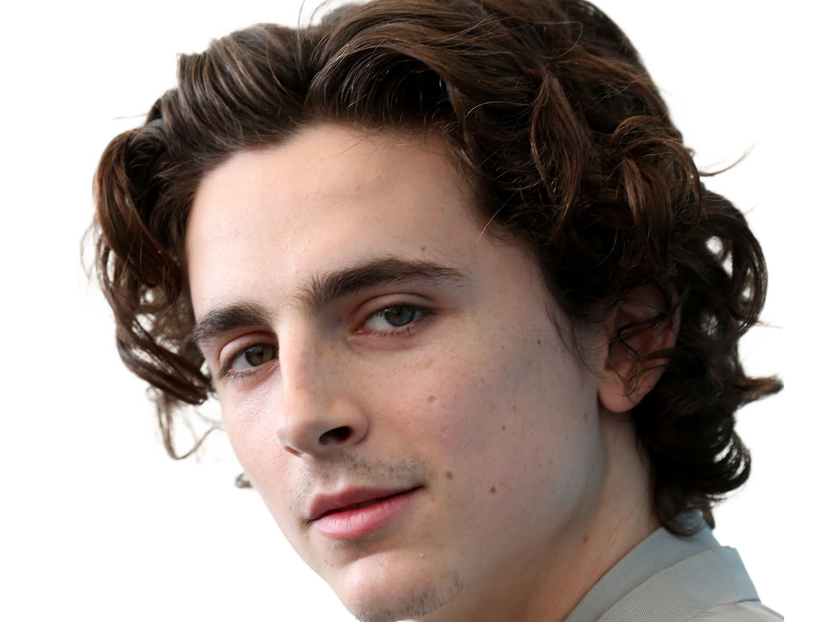 timothe chalamet acteur americain francais cinema homme vingtenaire vingtaine cheveux-bruns cheveux-boucles yeux-verts 2019