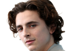 timothe-chalamet-acteur-americain-francais-cinema-homme-vingtenaire-vingtaine-cheveux-bruns-cheveux-boucles-yeux-verts-2019