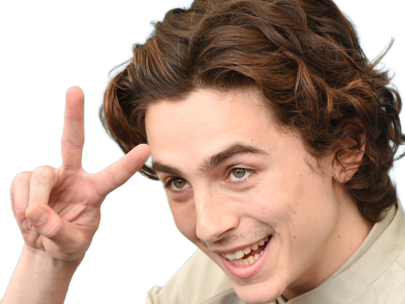 timothe chalamet acteur americain francais cinema homme vingtenaire vingtaine cheveux-bruns cheveux-boucles yeux-verts 2019