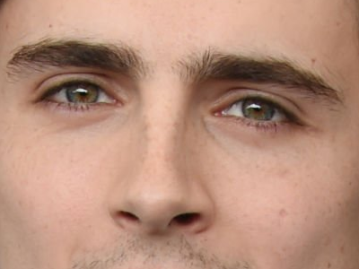 timothe chalamet acteur americain francais cinema homme vingtenaire vingtaine cheveux-bruns cheveux-boucles yeux-verts 2019