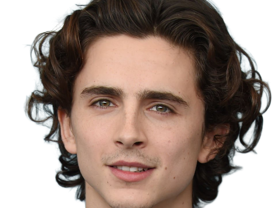 timothe chalamet acteur americain francais cinema homme vingtenaire vingtaine cheveux-bruns cheveux-boucles yeux-verts 2019