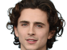 timothe-chalamet-acteur-americain-francais-cinema-homme-vingtenaire-vingtaine-cheveux-bruns-cheveux-boucles-yeux-verts-2019
